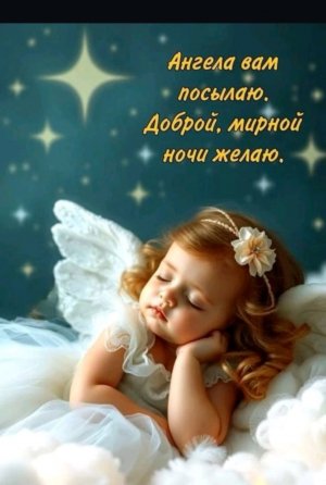 истории❤️❤️❤️❤️🦊