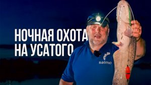 ВОНЮЧИЙ БУТЕРБРОД ДЛЯ СОМА. Ночная рыбалка. Сом на карповую снасть