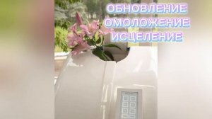 #озоновая_капсула #детокс_омоложение_стройность #капсула_бьютишелл_сочи #_БЬЮТИШЕЛЛ_КВАТРО_МЕД