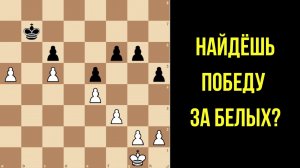 Возможно ли победить с пассивным королем? Как думать в плохой позиции?