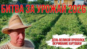Наступил день Великой работы, прополка и окучивание картофеля. Серия 9. Битва за Урожай 2026.