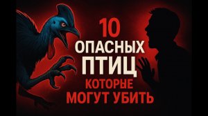 10 САМЫХ ОПАСНЫХ ПТИЦ 🌍🦅 | Кто из них может УБИТЬ человека?