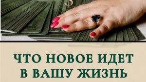 Что новое идёт в вашу жизнь