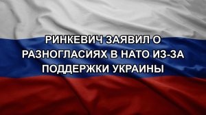 Ринкевич заявил о разногласиях в НАТО из-за поддержки Украины