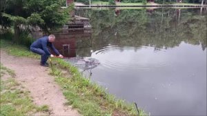 Утренний обзор с нижнего водоёма. Клёвое место, Лосиный остров.