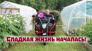Наконец - то у меня началась сладкая жизнь в деревне!