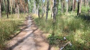 Консервы Лета🌺Лесная ПРОГУЛКА 1 ИЮЛЯ
