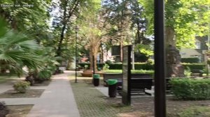 Адлер, небольшая прогулка в сквере имени А.А. Бестужева-Марлинского, июль 2026 года.
