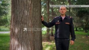 Алгоритм действий при различных видах угроз