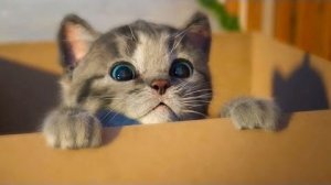 МОЙ Маленький КОТЕНОК Виртуальный питомец Как мультик видео для детей СИМУЛЯТОР котика Ми