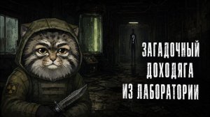 BREAKCORE В ЛАБЕ STALKER ANOMALY