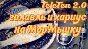 TeleTen 2.0 голавль и хариус на мормышку
