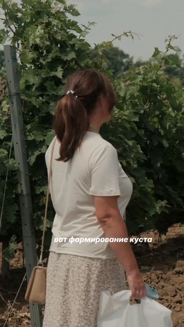 Как прошёл день Виноградаря - поместье Голубицкая 2026