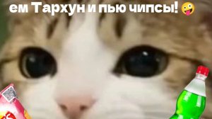 Делаю вам фотки с шиномантажем
