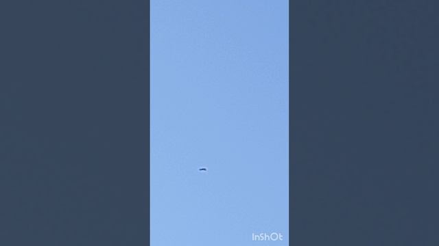 голуби Ломова начну отсаживать