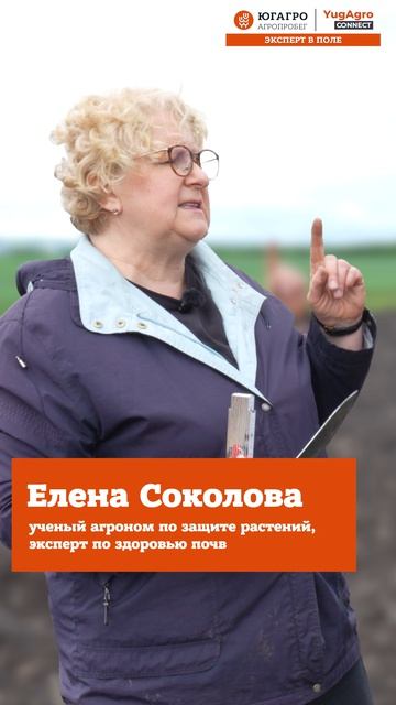Новый сезон Агропробега-«ЮГАГРО» — в эфире уже в среду, 8 июля