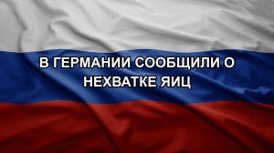 В Германии сообщили о нехватке яиц