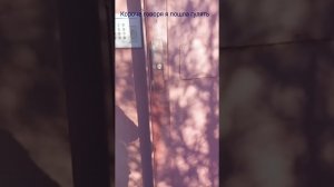 Короче говоря я пошла гулять