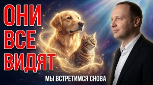 Куда после смерти попадают животные - Теперь это известно | Встретимся ли мы с ними снова?