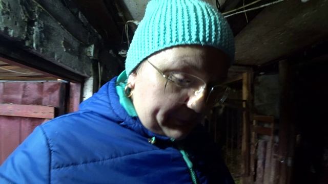 Влог от 31.01.2023 смотреть онлайн