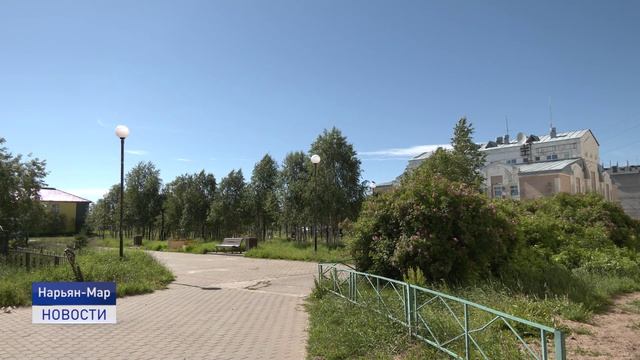 Город расцветает