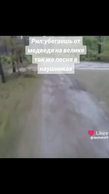 Медведь смотреть онлайн