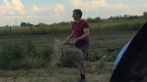 Туровская яжеНемать/ новости последних дней 👆