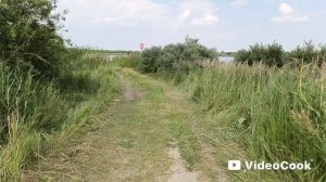 Лето это маленькая жизнь!🌼🌻🐝🐞🍒🍓Едем загорать на озеро.😊😊😊