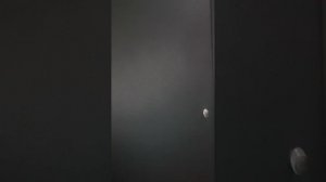 15672731394043