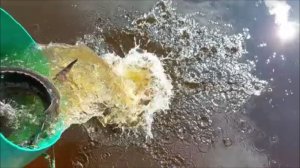 Зарыбление осетром нижнего водоёма 100 кг. Клёвое место, Лосиный остров.