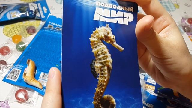 НОВИНКА Хеппи Бокс - Подводный мир