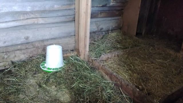 Древнее заклинание от сорок