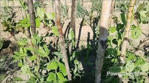 Очередная необходимая покупка.