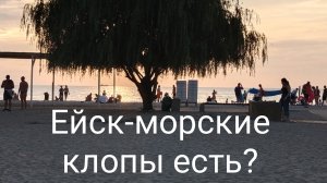 Ейск- обстановка на центральном пляже. О морских клопах... Меня ожалила медуза...