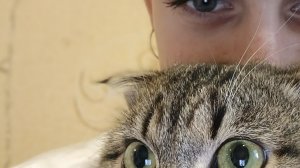 вечер, играем с котиком ,ему скучно 🥱