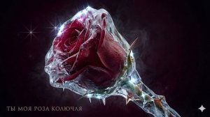 Ты моя роза колючая.