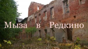 Башни и подземелья усадьбы Редкино- от 19 сен 2021