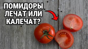 Что будет если есть помидоры каждый день?