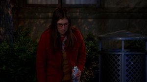 Теория Большого взрыва 6 сезон 9 серия / The Big Bang Theory