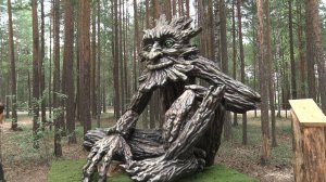 Хранитель леса. ТК «Первый Советский»