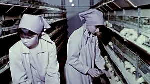 1986 год. Тюмень. Трудовое лето школьников