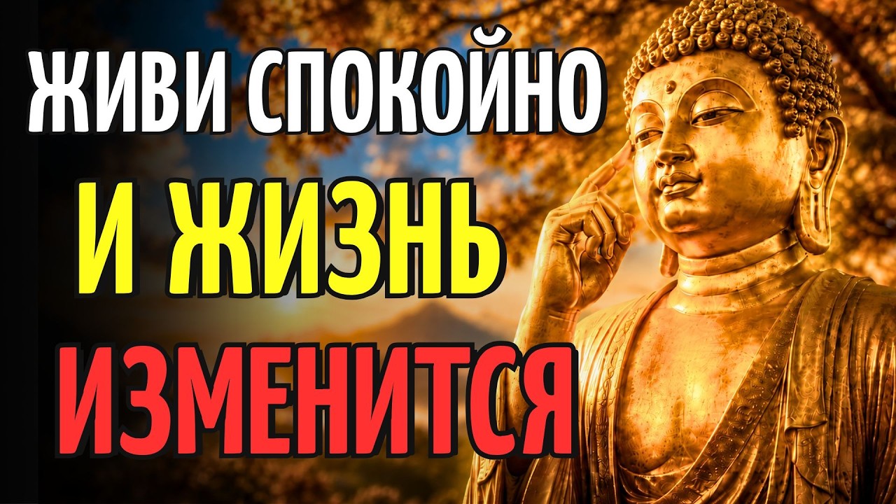 КОГДА ТЫ НАЧИНАЕШЬ ДУМАТЬ ТАК, ВСЁ В ЖИЗНИ ВСТАЁТ НА СВОИ МЕСТА🙏БУДДИЙСКАЯ МУДРОСТЬ смотреть онлайн