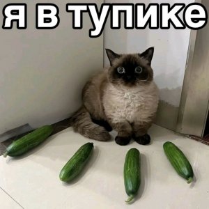 ваши уровни