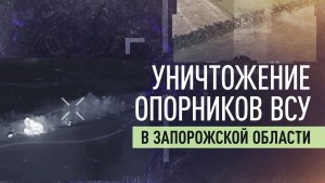 Артиллеристы ВС РФ уничтожили опорники ВСУ в лесополосах Запорожской области