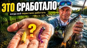 Ловлю ПЛОТВУ — ПОДБИРАЮ ПРИМАНКИ, когда условия постоянно меняются.  Мормышинг с CF Sub Zero