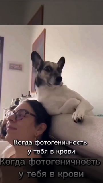 07-07-2026 смотреть онлайн