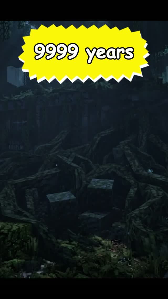 ⌚ таймлапс Dunder Mifflin смотреть онлайн