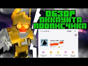 Обзор Аккаунта Подписчика в Блокмен го | blockman go