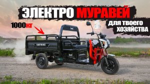 ЭЛЕКТРО МУРАВЕЙ 2026 | Грузовой Электрический Трицикл SIBTRIKE CARGO 1.5 на 1000кг