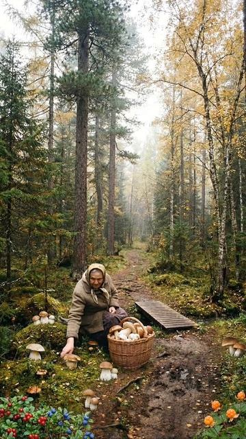 Где то под Омском 😍😍😍 смотреть онлайн